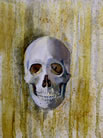 Skull, 16� x12�